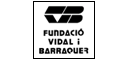 FUNDACIÓ VIDAL I BARRAQUER