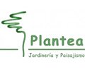 PlanteaJyP